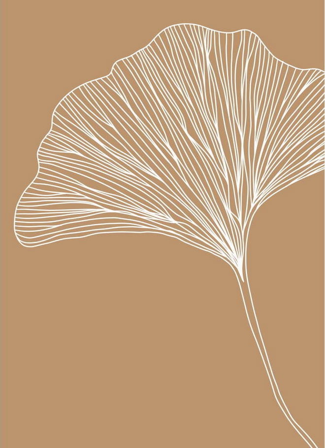 Plakát 29x41 cm Gingko – Veronika Boulová