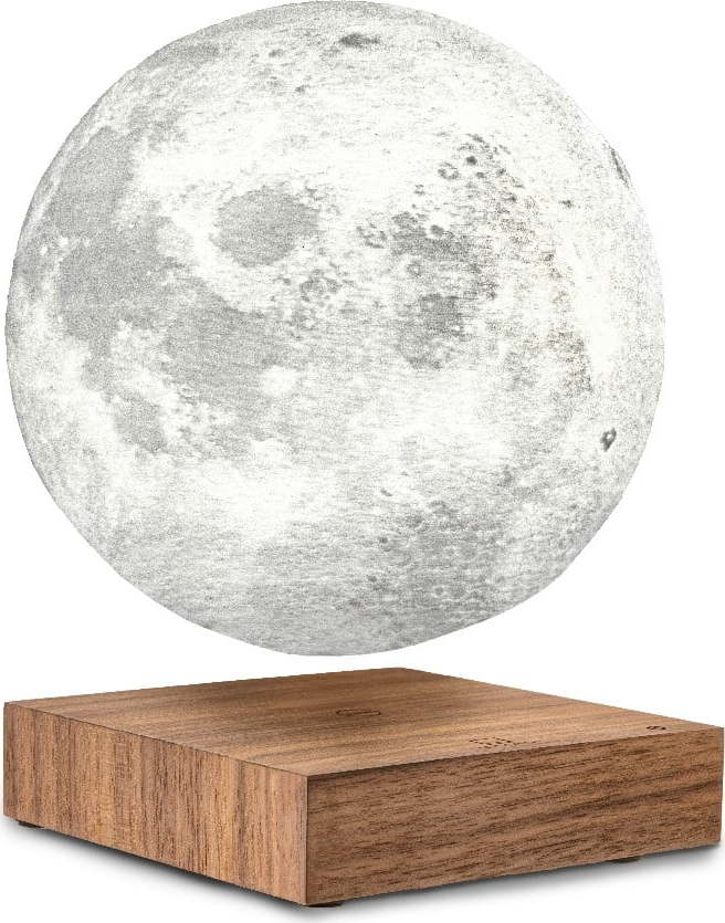 Hnědá světelná dekorace do zásuvky ø 12 cm Moon – Gingko