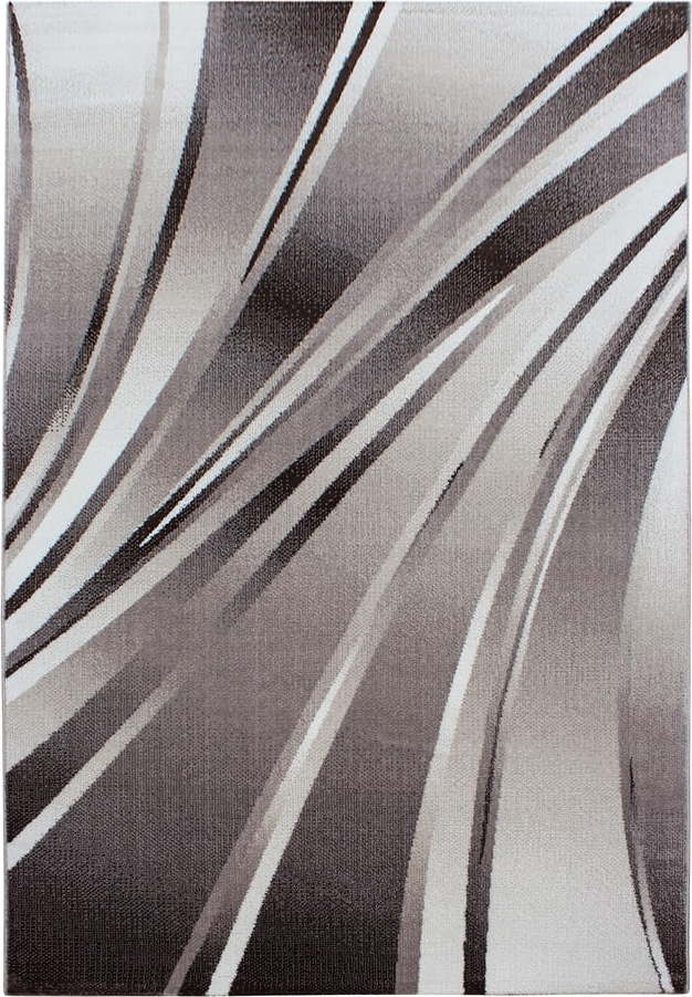 Hnědý koberec 120x170 cm Parma – Ayyildiz Carpets