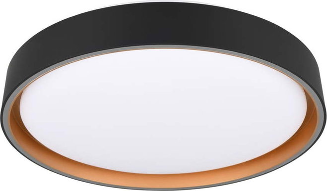 Černé LED stropní svítidlo ø 40 cm Felis – Reality