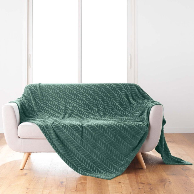 Zelený přehoz z mikroflanelu 180x220 cm Arya – douceur d'intérieur