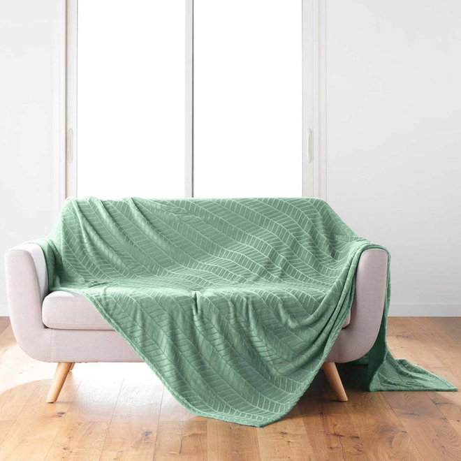 Světle zelený přehoz z mikroflanelu 180x220 cm Arya – douceur d'intérieur