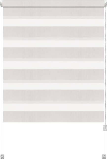 Bílá roleta den a noc 42,5x150 cm Zebra – Gardinia