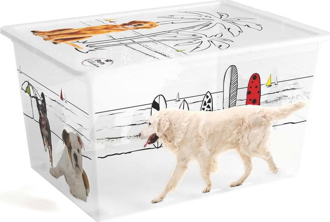 Bílý plastový úložný box s víkem 55x39x31 cm C Box Style – KIS
