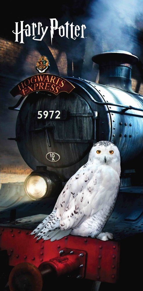Bavlněná dětská osuška 70x140 cm Harry Potter "Hedwig" – Jerry Fabrics